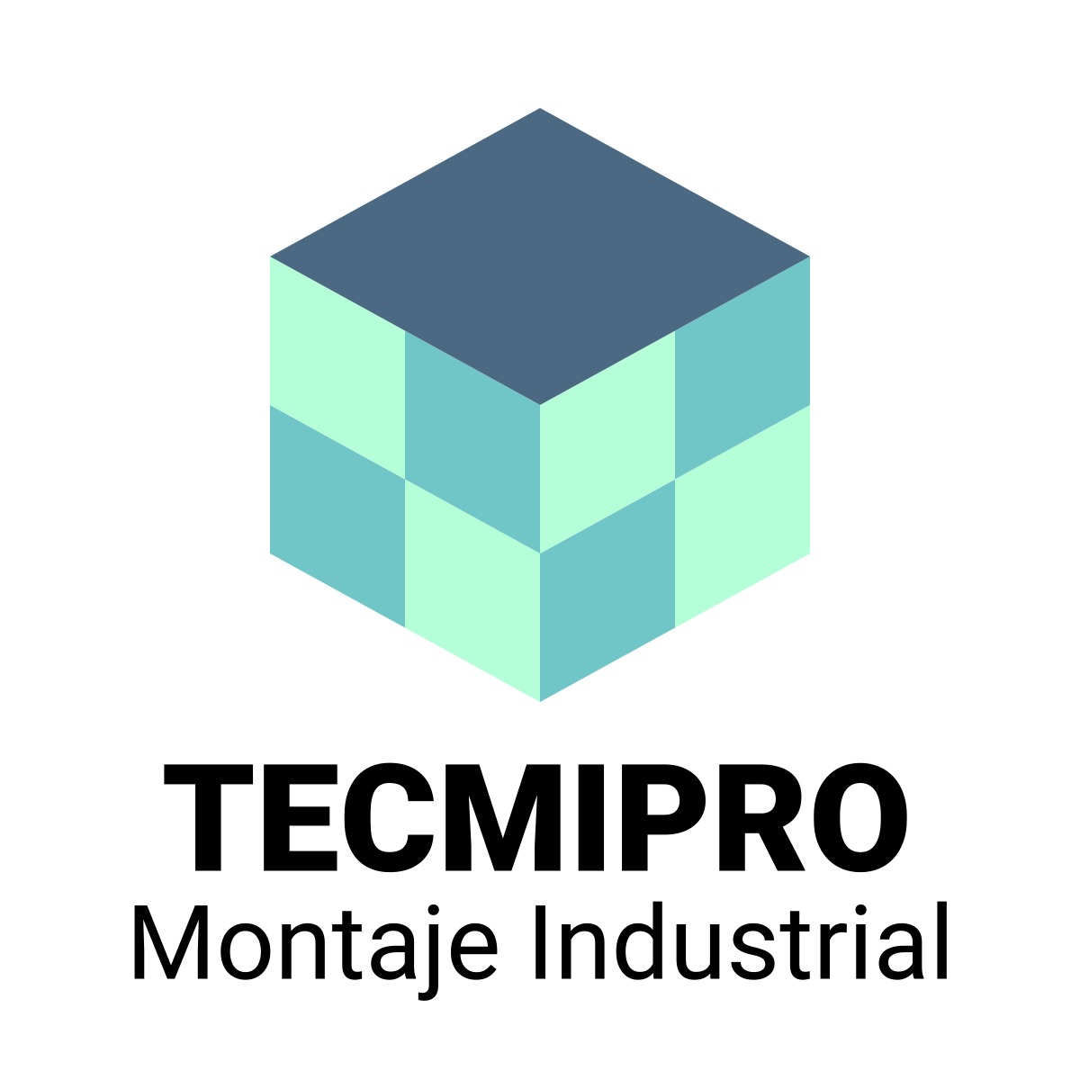 TECMIPRO Montaje Industrial